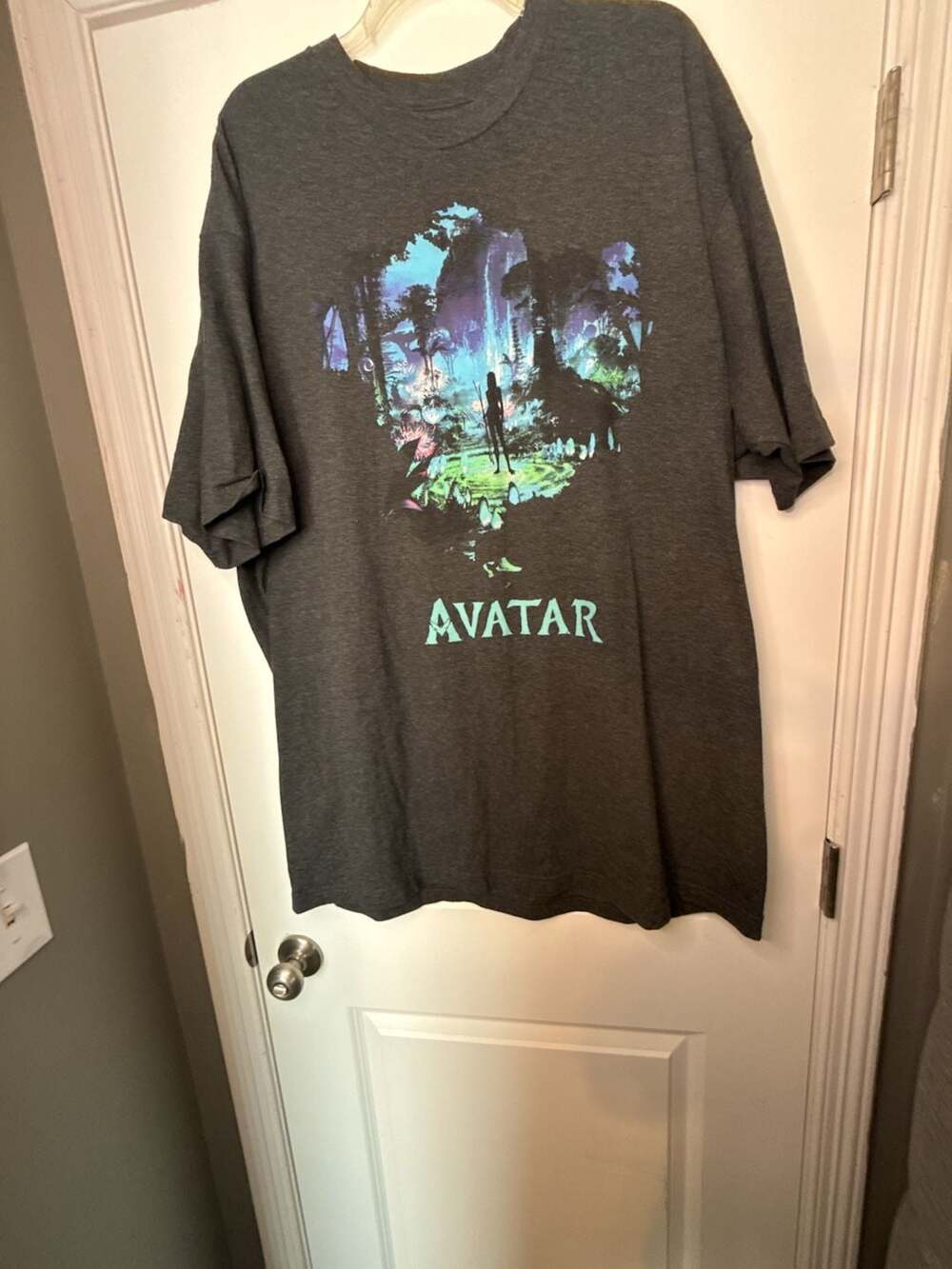 Avatar Men's 3XL T-Shirt